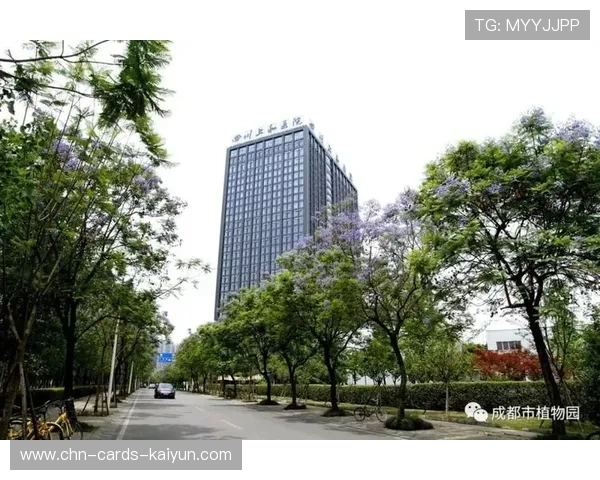 成都蓉城核心推进线路逐渐清晰，反复制造威胁