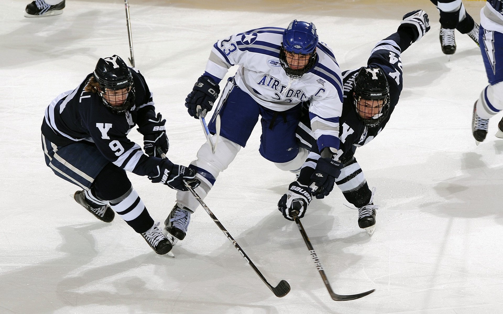 欧冠小组赛末轮 多队生死同夜 亚平宁双雄命运迥异
