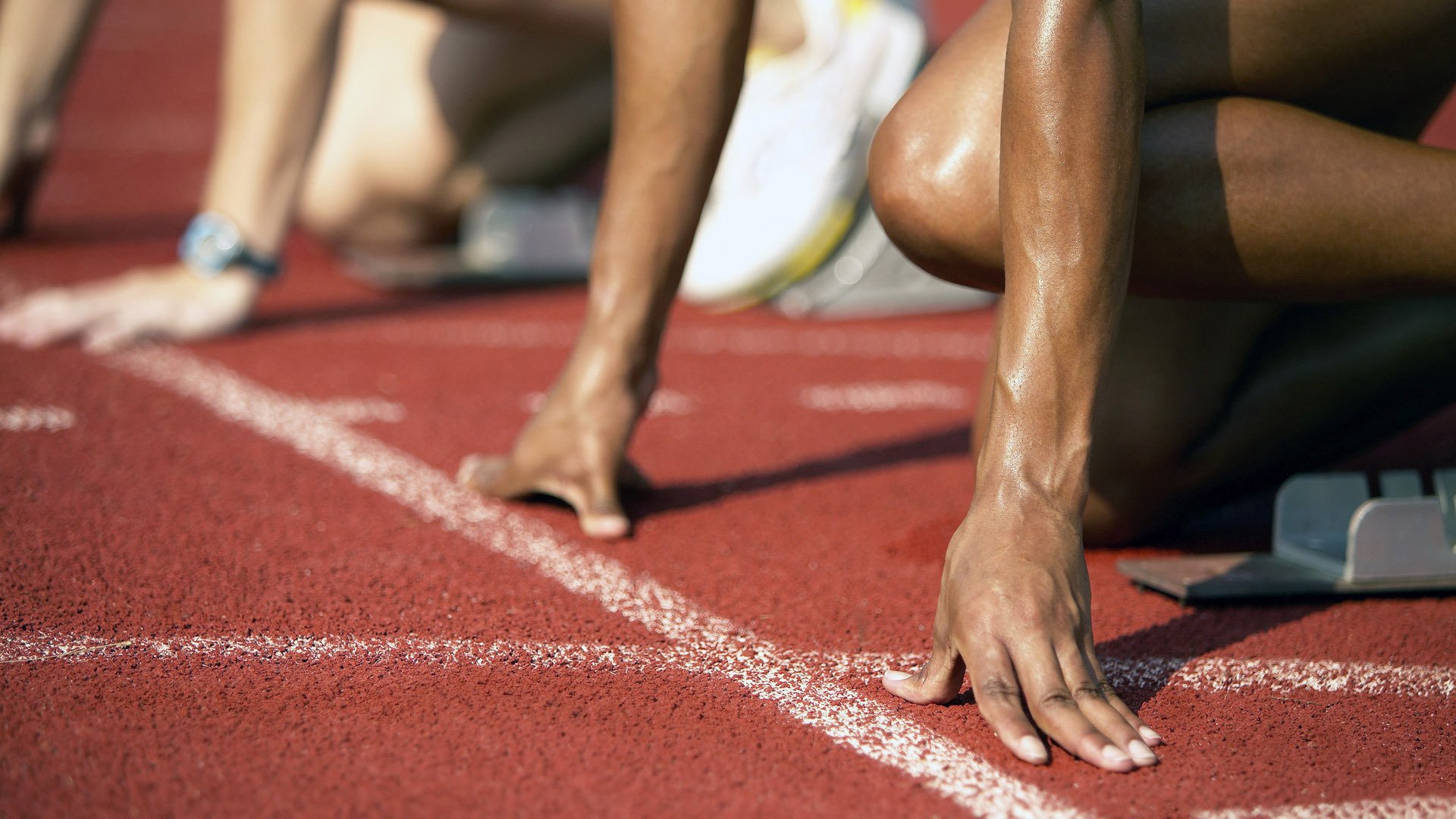 游泳赛事观众人数持续增长